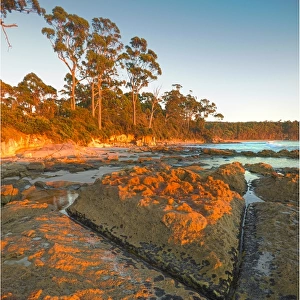 Dawn at Adventure Bay, South Bruny Island, Tasmania