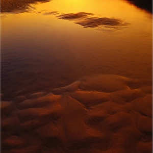 Dawn light, central New South Wales coastline, Australia