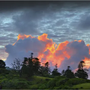 Dawn light over the coastline at Cemetery bay