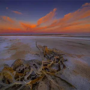 Dawn light on Lake Tyrrell, near the town of SeaLake, in the Wimmera District of Victoria, Australia