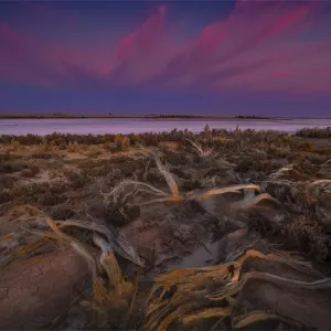 Dawn light on Lake Tyrrell, near the town of SeaLake, in the Wimmera District of Victoria, Australia