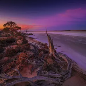Dawn light on Lake Tyrrell, near the town of SeaLake, in the Wimmera District of Victoria, Australia