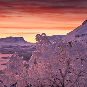 Dawn light sweeps across the landscape at Bjorkliden, Lapland, Sweden