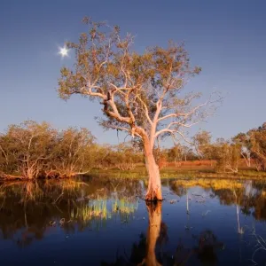 Derby Wetlands Kimberley WA Derby Wetlands Kimberley WA