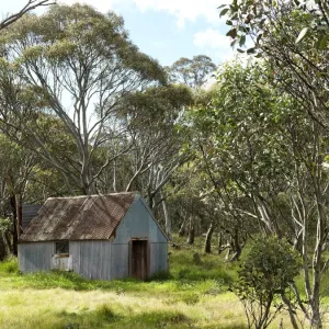 Maison abandonnée en Australie rurale. Maison abandonnée en Australie rurale.