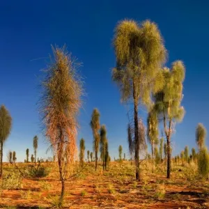 Images Dated 2007 April: 15 Apr 2007