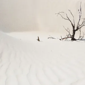 Print of Wilsons Promontory Big Drift Landscape