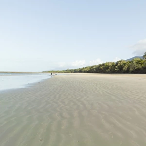 Deserted beach and tropical rainforest, Queensland