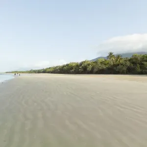 Deserted beach and tropical rainforest, Queensland Deserted beach and tropical rainforest, Queensland