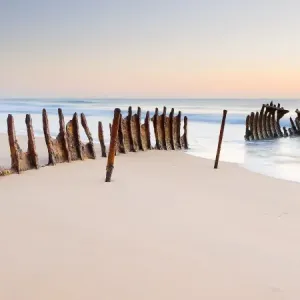 Dicky Beach Dicky Beach
