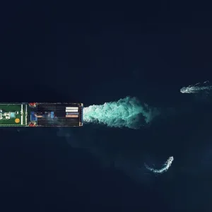 Directly above view of two pilot boats commanding a RoRo cargo ship into the harbour