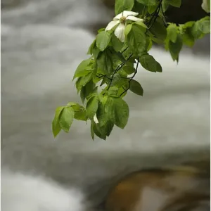 Images Dated 2012 May: 27 May 2012