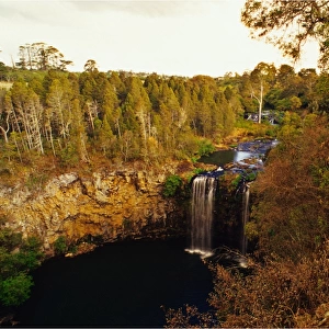 Dorrigo waterfall, New South Wales, Australia