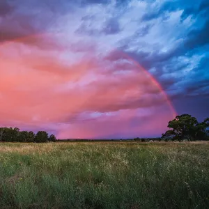 New South Wales (NSW) Jigsaw Puzzle Collection: Mudgee, New South Wales