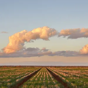 Dramatic Cloudy Skies Over Rural Queensland Dramatic Cloudy Skies Over Rural Queensland