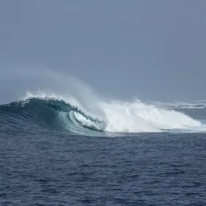 Dreamy wave