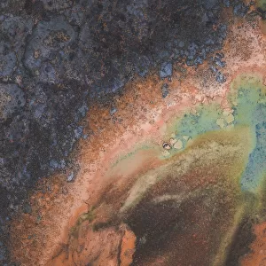 Drone image of amazing ocean floor patterns, Shark Bay, Australia