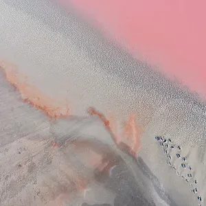 Drone view point of the pink shades of color, patterns and textures over Pink Lake waters with dark salty sandy soil Drone view point of the pink shades of color, patterns and textures over Pink Lake waters with dark salty sandy soil