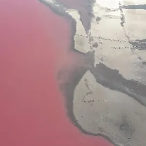 Drone view point of the pink shades of color, patterns and textures over Pink Lake waters with dark salty sandy soil Drone view point of the pink shades of color, patterns and textures over Pink Lake waters with dark salty sandy soil