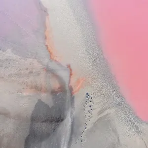 Drone view point of the pink shades of color, patterns and textures over Pink Lake waters with dark salty sandy soil Drone view point of the pink shades of color, patterns and textures over Pink Lake waters with dark salty sandy soil