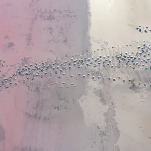 Drone view point of the pink shades of color, patterns and textures over Pink Lake waters with dark salty sandy soil Drone view point of the pink shades of color, patterns and textures over Pink Lake waters with dark salty sandy soil