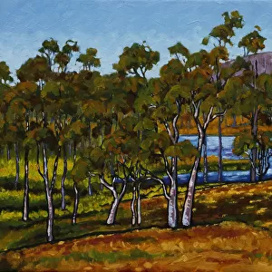 Dry Australian Countryside with Dam and Lush Grasses Oil Painting