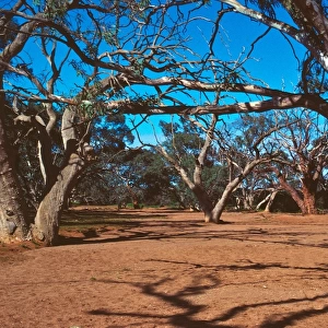 New South Wales (NSW) Jigsaw Puzzle Collection: Broken Hill & Surrounds