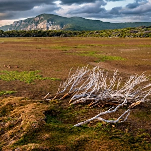 Dry pond at Cape Raoul, Tasman Peninsula, Tasmania