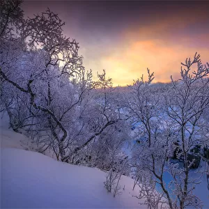 Dusk comes over a winter scene at Abisko National park in Lapland, Sweden