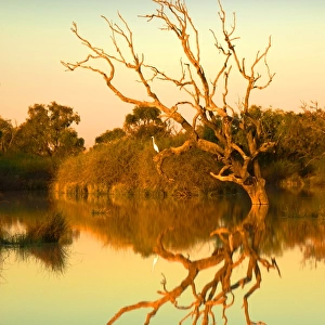 Dusk on the flooded lagoon at Birdsville, outback Queensland, Australia