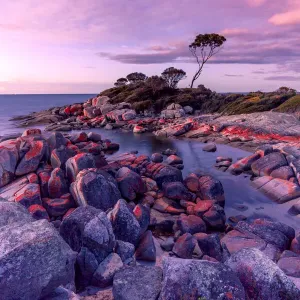 Dusk Moment at Binalong Bay Dusk Moment at Binalong Bay
