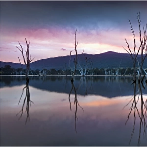 Dusk reflections at Lake Nillahcootie, central Victoria