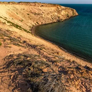 Eagle Bluff