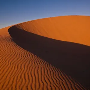 Early Morning Sand Dune Print