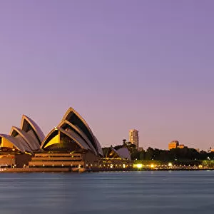 Early Riser - Sydney, Australia