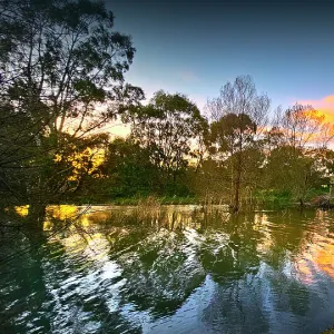 Early winter morning on the shore of Lake Colac, Western District, Victoria, Australia