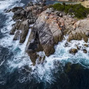 Eastern Coastline of Tasmania Australia Print - Bay of Fires Aerial View Eastern Coastline of Tasmania Australia Print - Bay of Fires Aerial View