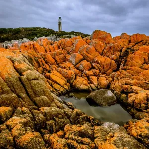 Eddystone Point Lighthouse at Mount William National Park in Bay of Fires, Tasmania Eddystone Point Lighthouse at Mount William National Park in Bay of Fires, Tasmania