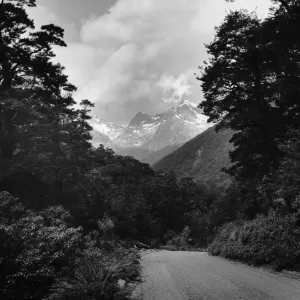 Eglington Valley