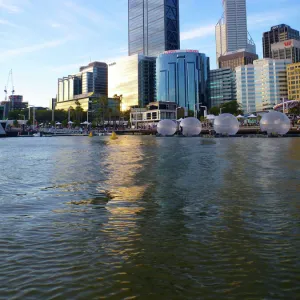Nicola Morgan Collection: Perth