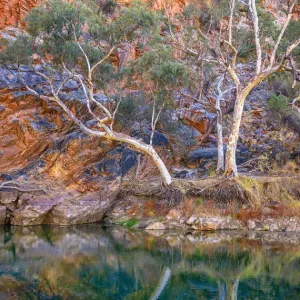 Ellery Creek Big Hole