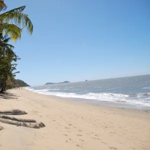 Daintree Region Jigsaw Puzzle Collection: Cape Tribulation