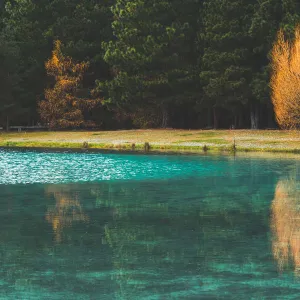 Emerald Green Lake