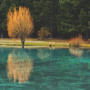 Emerald Green Pools