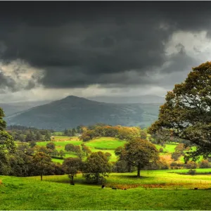 Images Dated 2011 September: 24 Sep 2011