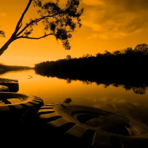 Estuary Estuary