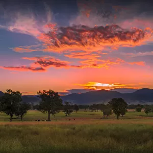 Evening light in the summer season near Corryong, in the lovely fertile farmland of