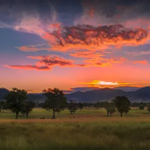 Evening light in the summer season near Corryong, in the lovely fertile farmland of