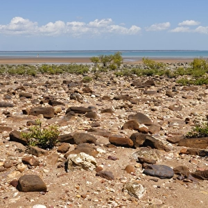 Fanny Bay at low tide, Darwin, Northern Territory, Australia