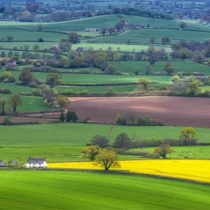 Farmland and agriculture near Hambleton Hill, Dorset, England, United Kingdom